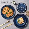 E-far 10.5” Ceramic Dinner Plates Set of 6, Large Reactive Glaze Stoneware Dishes, Round Salad Plate for Home Kitchen Restaurant, Microwave & Dishwasher Safe – Deep Sea Blue(Deep Sea Blue)