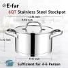 E-far 24-Quart Large Stock Pot, Stainless Steel Stockpot with Lid for Boiling Cooking Soup Stew Canning, Heavy Duty Tri-Ply Bottom Works w/Induction, Commercial Grade & Dishwasher Safe(6 Quarts)