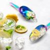 Mini Ice Scoop Set of 2, E-far 3 Ounce Gold Stainless Steel Scoops for Candy/Flour/Sugar, Small Metal Scoops for Party/Canisters Jars/Kitchen Bar/Ice Maker, Rust Proof & Dishwasher Safe(Rainbow)