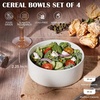 E-far Cereal Bowls Set of 4, 25oz Ceramic Deep Soup Bowls for Kitchen, Microwave Safe Bowls for Serving Prep, Rice, Dessert, Snack, Salad, Dishwasher Safe, Speckled Green(Stone White)