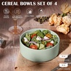 E-far Cereal Bowls Set of 4, 25oz Ceramic Deep Soup Bowls for Kitchen, Microwave Safe Bowls for Serving Prep, Rice, Dessert, Snack, Salad, Dishwasher Safe, Speckled Green(Mist Green)