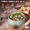 E-far Cereal Bowls Set of 4, 25oz Ceramic Deep Soup Bowls for Kitchen, Microwave Safe Bowls for Serving Prep, Rice, Dessert, Snack, Salad, Dishwasher Safe, Speckled Green(Haze Gray)